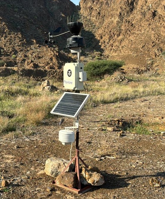 Weather and Air Quality Monitoring System